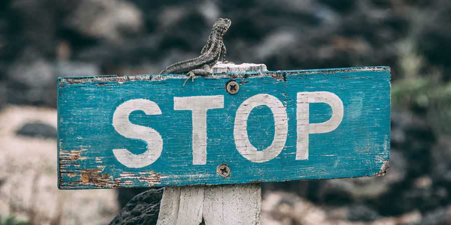 stop rustic sign lizard 