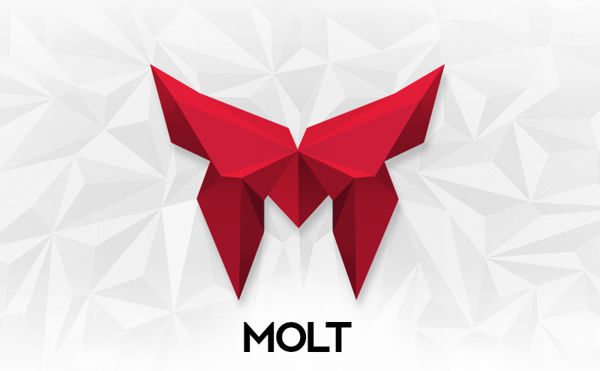 Molt Logotype stationery Design identity