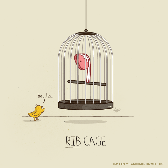 hilarious illustration series Rib Cage