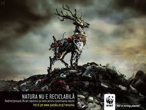 Inspiring and Creative Ads from the WWF