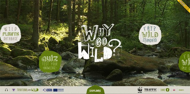 The Why Go Wild website above uses some incredibly unique typography for its headers and titles