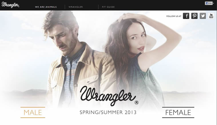 Wrangler Europe is a Creative and innovative HTML5 Website